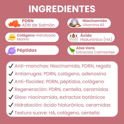 Repair® KIT ANTIEDAD PREMIUM